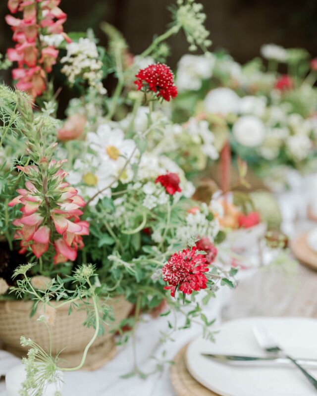 Planning a wedding can be overwhelming, but choosing the perfect flowers shouldn't be! 🌺 

Let us guide you through the world of floral options, helping you select the blooms that best reflect your love story. From romantic roses to whimsical wildflowers, we'll work hand in hand with your floral designer to create an unforgettable atmosphere that leaves your guests in awe. 🌹✨

🌷 Flowers are the heart and soul of any wedding, and we know exactly how to use those floral masterpieces that will take your breath away. 

From the moment you walk down the aisle to the last dance of the night, we'll ensure that every floral detail you’ve dreamed of is flawlessly executed. Trust us to make your full wedding design a blooming sensation! 💐✨

🌼Flowers have the power to transform any space into a magical setting, and we know just how to harness that power. 

Our team of trusted vendors and floral designers are able to make anything possible, from elegant cascading arrangements to delicate floral arches, they will create an atmosphere that sets the stage for your love story. 💐

Trust us to make your wedding day an unforgettable celebration of beauty and romance.

Ready to start planning your BIG day with us? DM us and let’s get the conversation started.

IN FRAME
Photographer @alyssalizarragaphoto 
Planner & Designer @hllovely 
Floral Design @gatherfloral 
Rentals @sigpartyrentals 
Venue PRIVATE RESIDENCE
